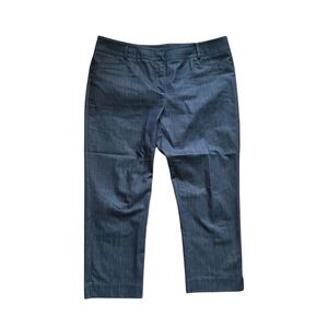 Banana Republic Women’s Blue Capris